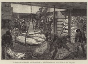 Landing Australian Frozen Meat from Sydney in the South West India Dock, Millwall by Walter Paget